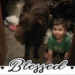 Meet your Posher, Patsy